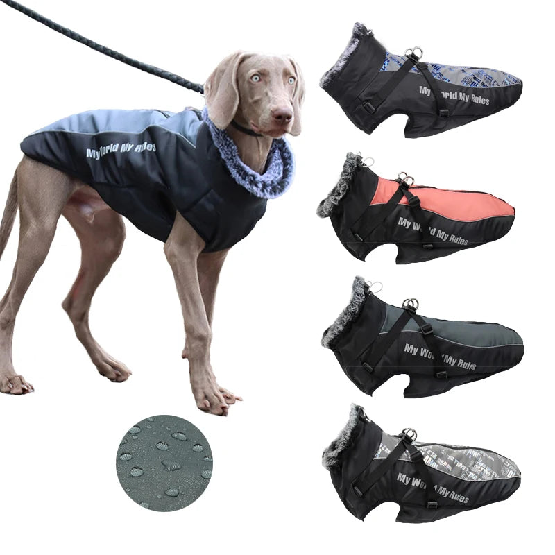 Waterproof Large Winter Dog Coat With Harness