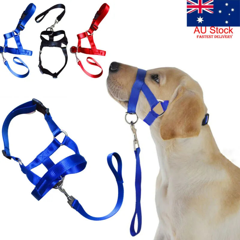 Dog Halter Training Collar Nylon Breakaway Gentle Leader Harness