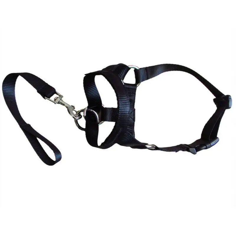 Dog Halter Training Collar Nylon Breakaway Gentle Leader Harness