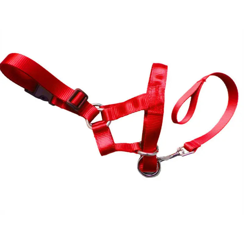 Dog Halter Training Collar Nylon Breakaway Gentle Leader Harness