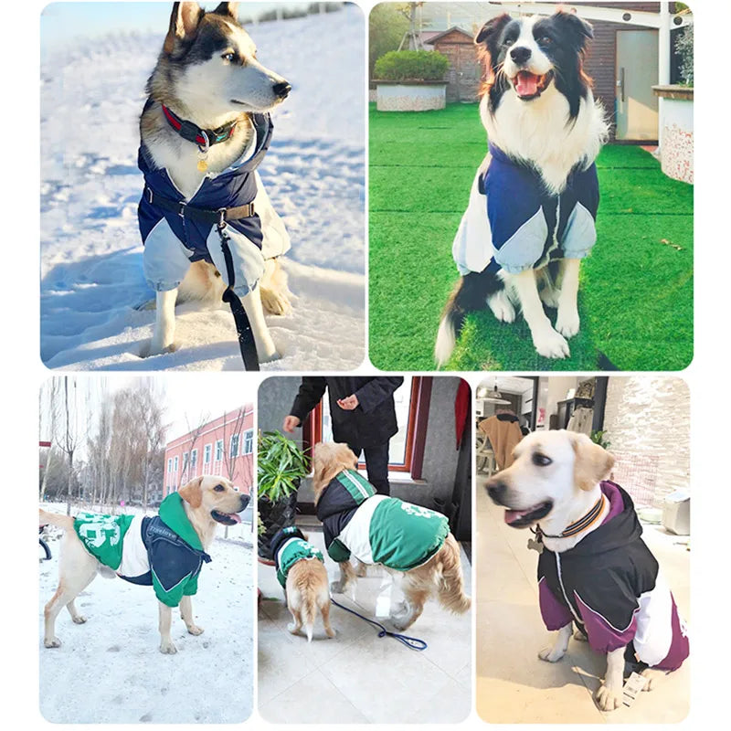 Large Dog Coat Hoodie
