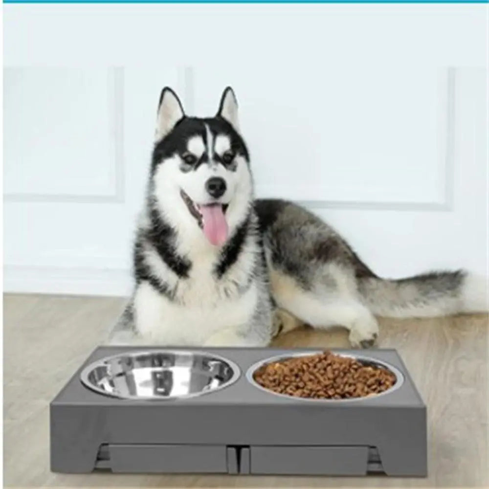 Elevated Dog Bowls Large Dogs Feeder Dog Food Water Bowl With Slow Feeder Bowl Standing Dog Bowl For Medium Large Dogs