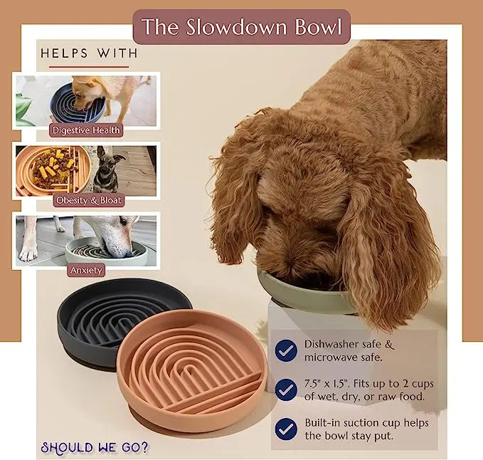 Pet Slow Feed Bowl