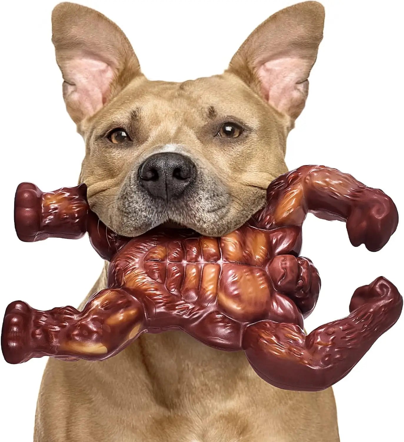 Indestructible Dog Toys for Aggressive Chewers