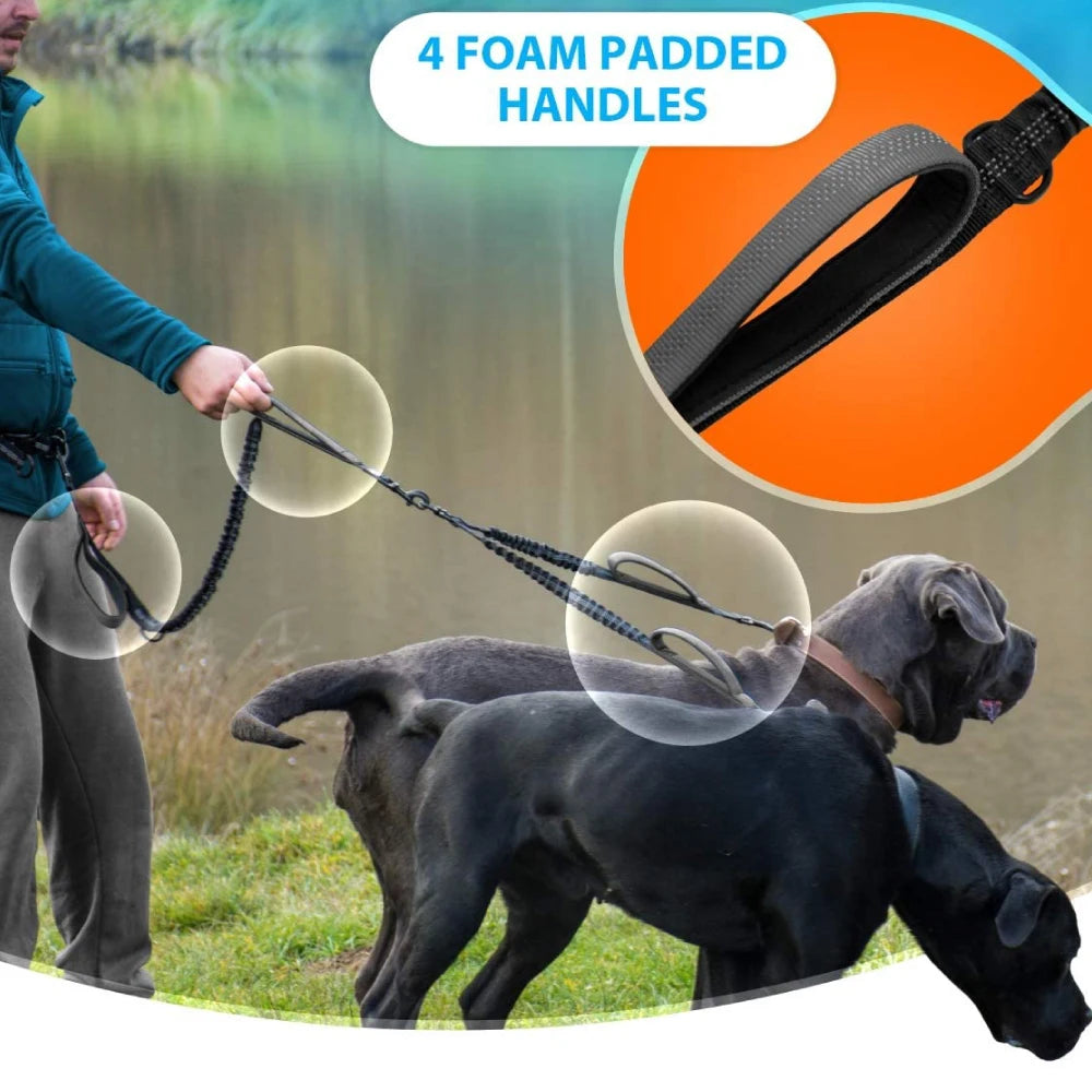 Hands Free Double Dog Leash