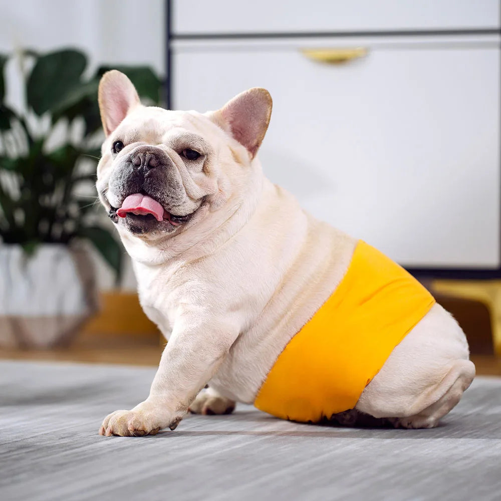 Washable Male Dog Belly Band Diapers