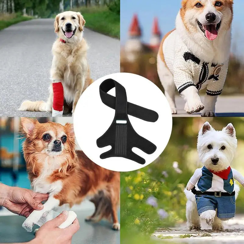 Dog Knee Brace Adjustable Dog Injurie Leg Knee Brace Strap Protection For Wounds Joint Bandage Wrap medical dog accessories