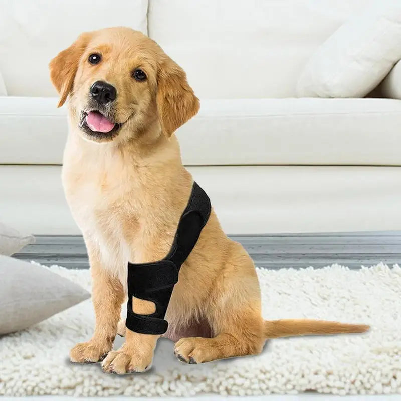 Dog Knee Brace Adjustable Dog Injurie Leg Knee Brace Strap Protection For Wounds Joint Bandage Wrap medical dog accessories