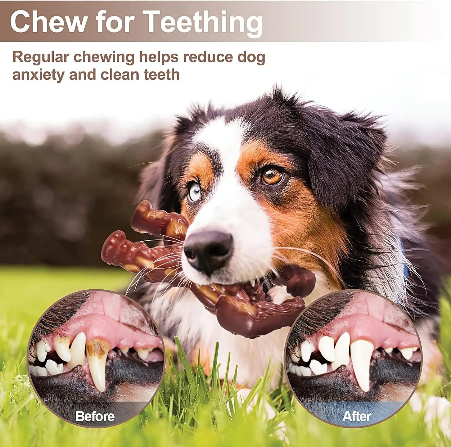 Indestructible Dog Toys for Aggressive Chewers