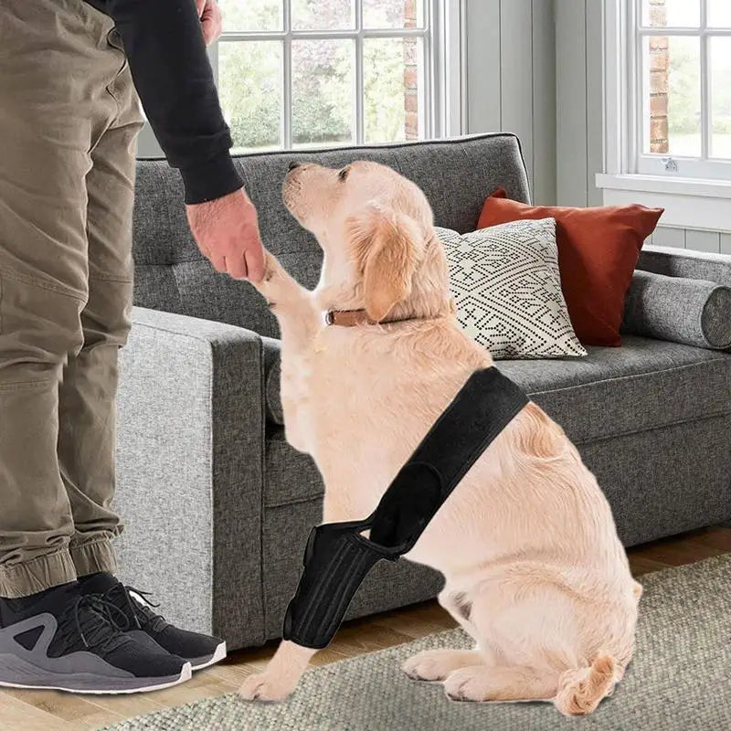 Dog Knee Brace Adjustable Dog Injurie Leg Knee Brace Strap Protection For Wounds Joint Bandage Wrap medical dog accessories