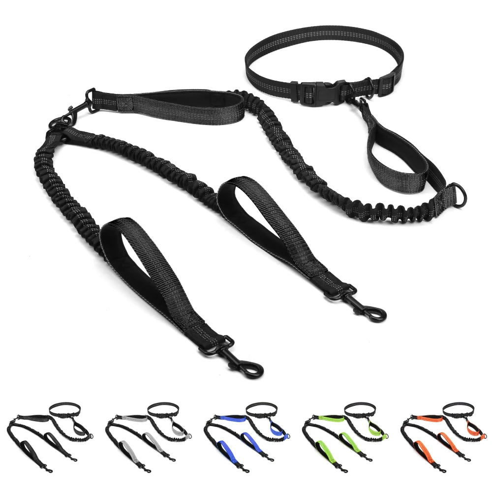 Hands Free Double Dog Leash