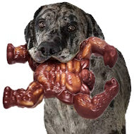 Indestructible Dog Toys for Aggressive Chewers